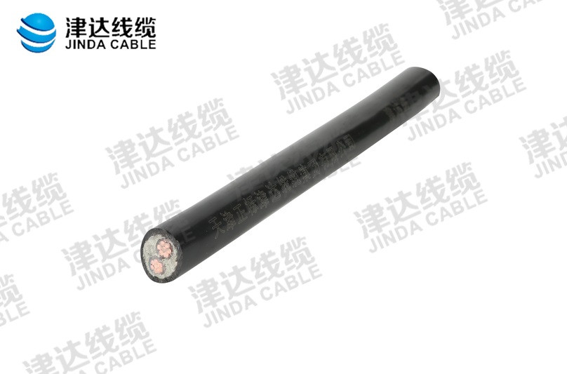 YJV 交联聚乙烯绝缘聚氯乙烯护套电力电缆 2x16㎡.jpg